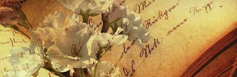 Zeit für Barbarazweige