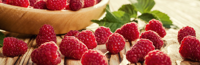 Zeit für Himbeeren!