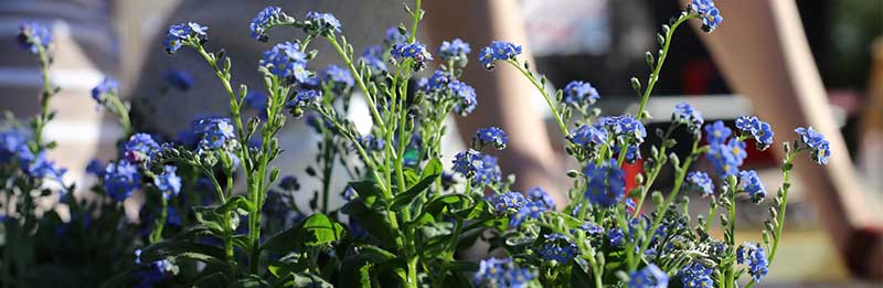 Die Gartensaison beginnt!