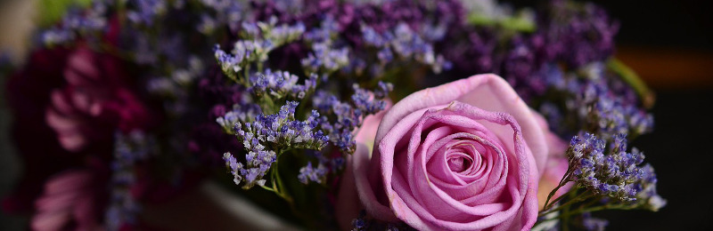 Allerheiligen-Verkaufsausstellung