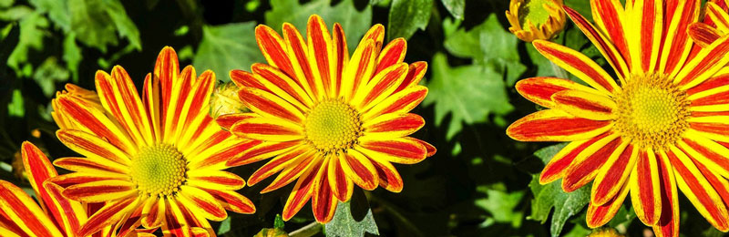 Unsere Sommer-Angebote