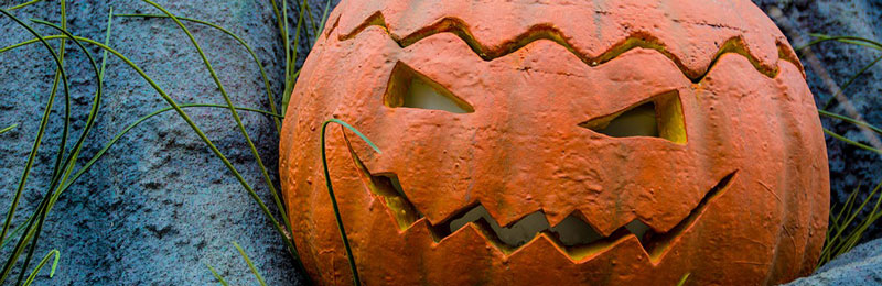 Halloween-Kürbisse: So machen Sie die herbstlichen Kunstwerke haltbar