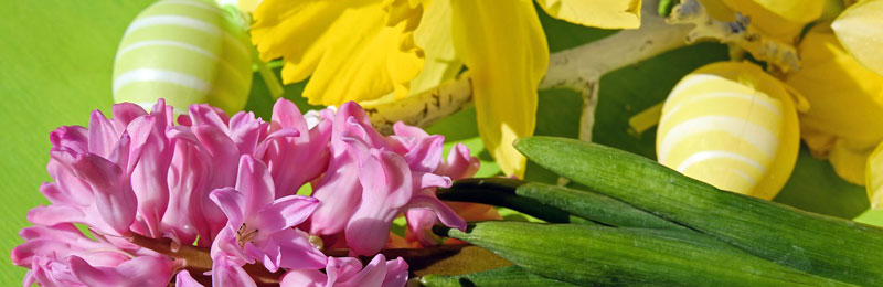 Ein fabelhaftes Trio