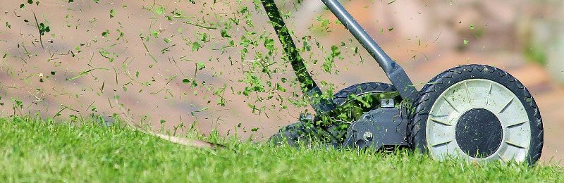Rasenpflege im September