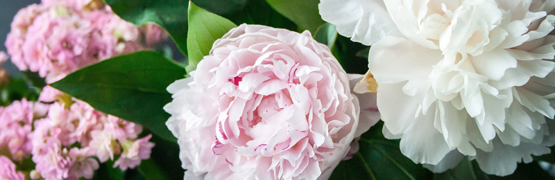 Muttertag steht vor der Tür!