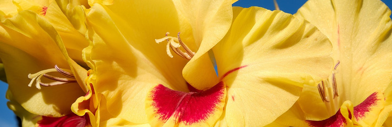 Frühlingserwachen im Bürener Land