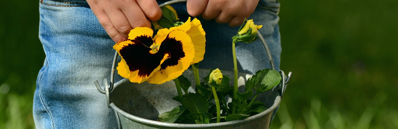 Der Frühling nimmt Fahrt auf ...