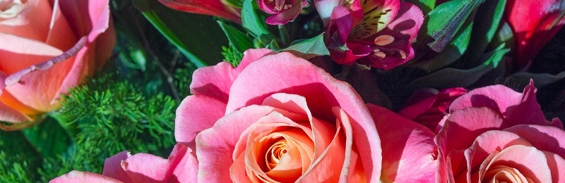 Am 14. Februar ist Valentinstag