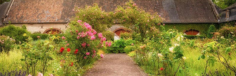Mehr Abwechslung im Garten gefällig?