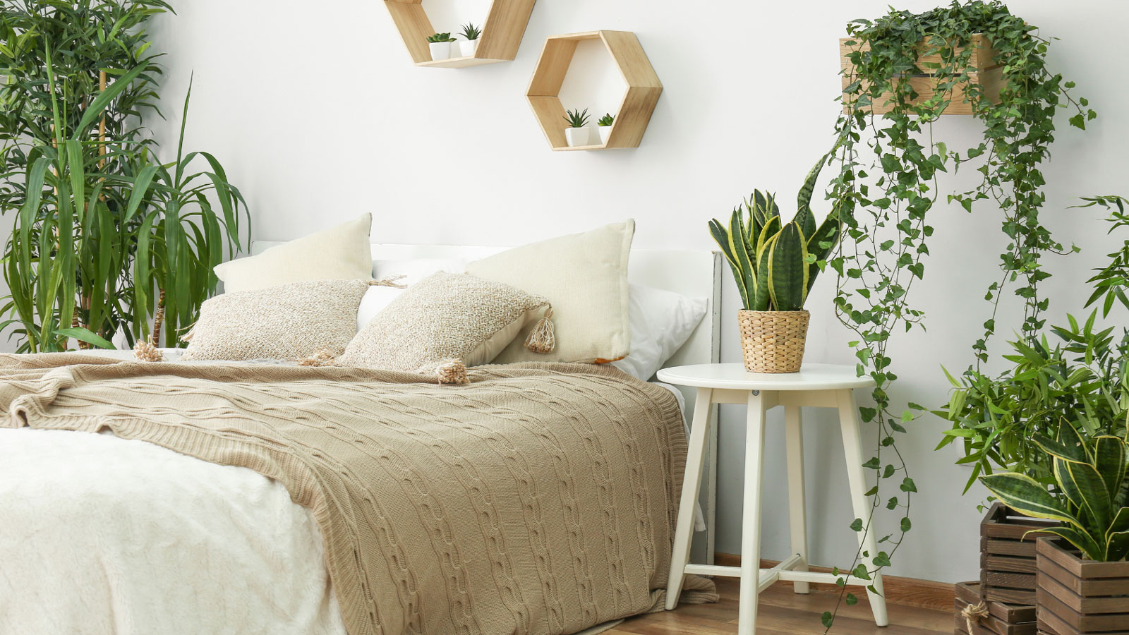 Saubere Luft durch Zimmerpflanzen