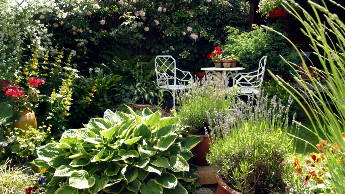 Schöne Gärten trotz heißer Sommer!