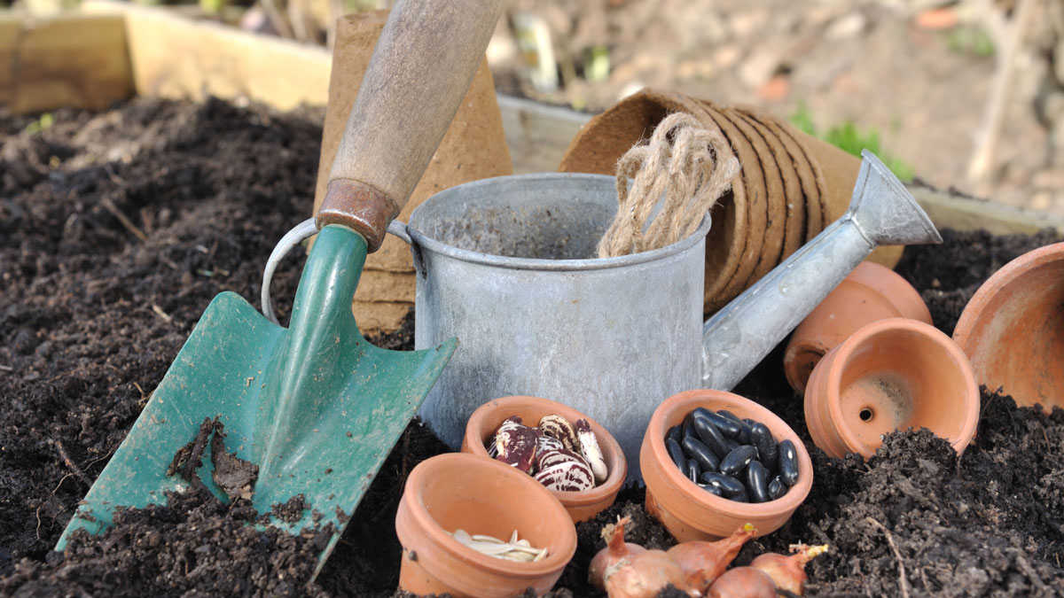 Ab in die Erde: 5 Pflanzen für den Februar