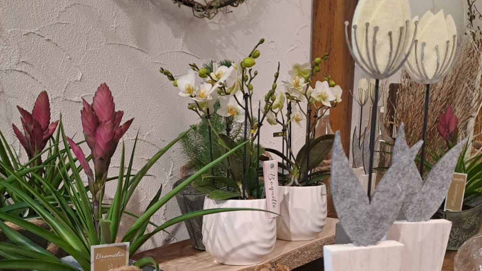 Der Frühling zieht ein!