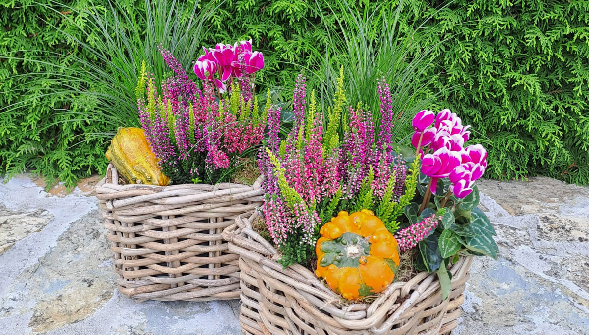 Frische Herbstdeko eingetroffen