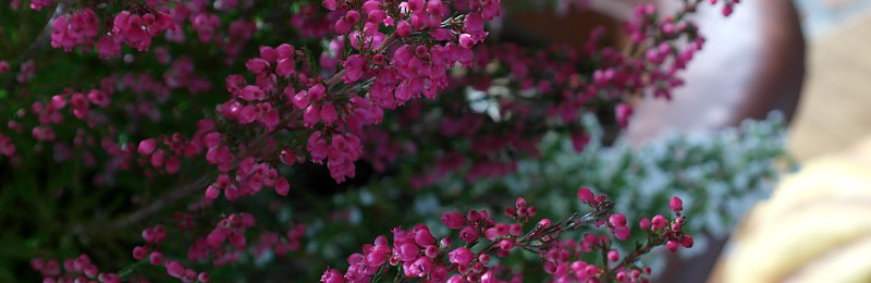 Für den Winter gerüstet