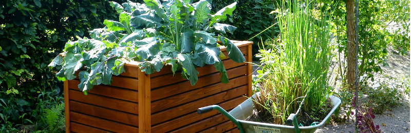 Die Planung kann beginnen: Das Hochbeet