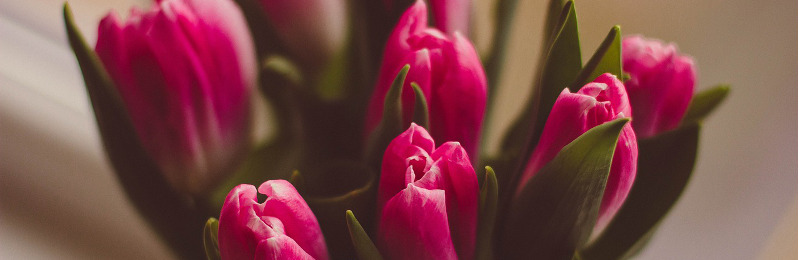 Am 14. Februar ist Valentinstag