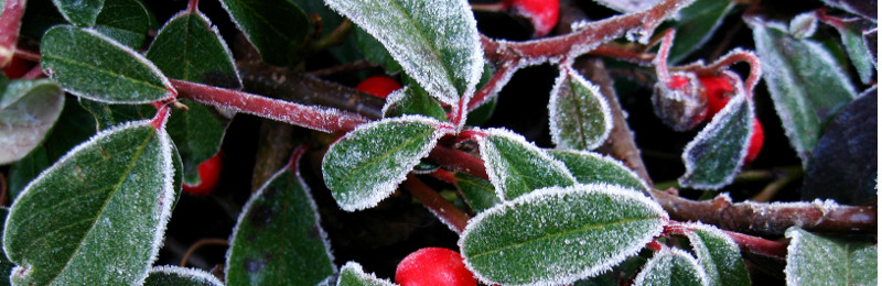 Immer gut eingepackt