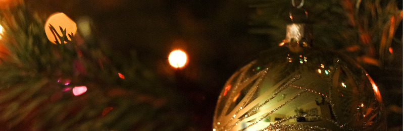 Großer Weihnachtsbaumverkauf