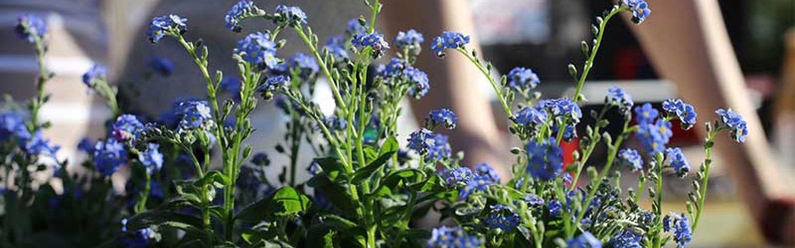 Die Gartensaison beginnt!