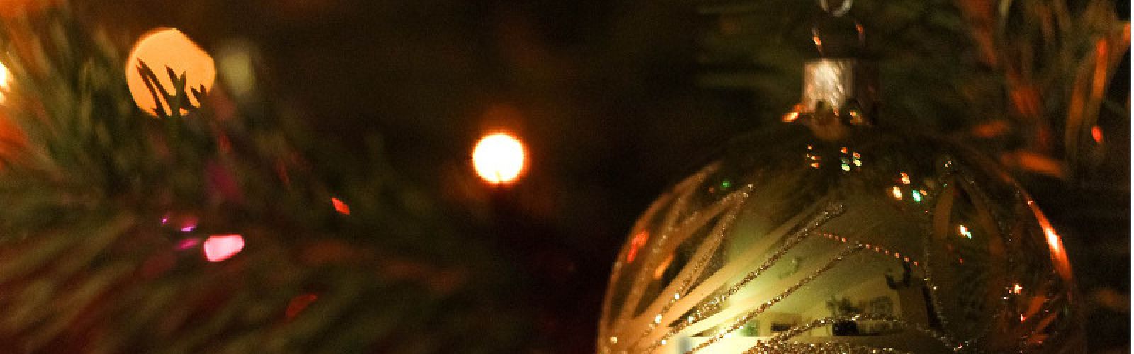 Großer Weihnachtsbaumverkauf