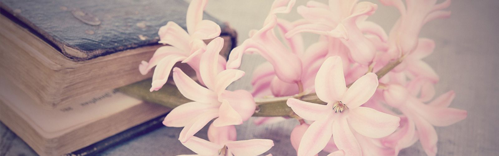 Leaf a Message - der Viktorianische Blumencode