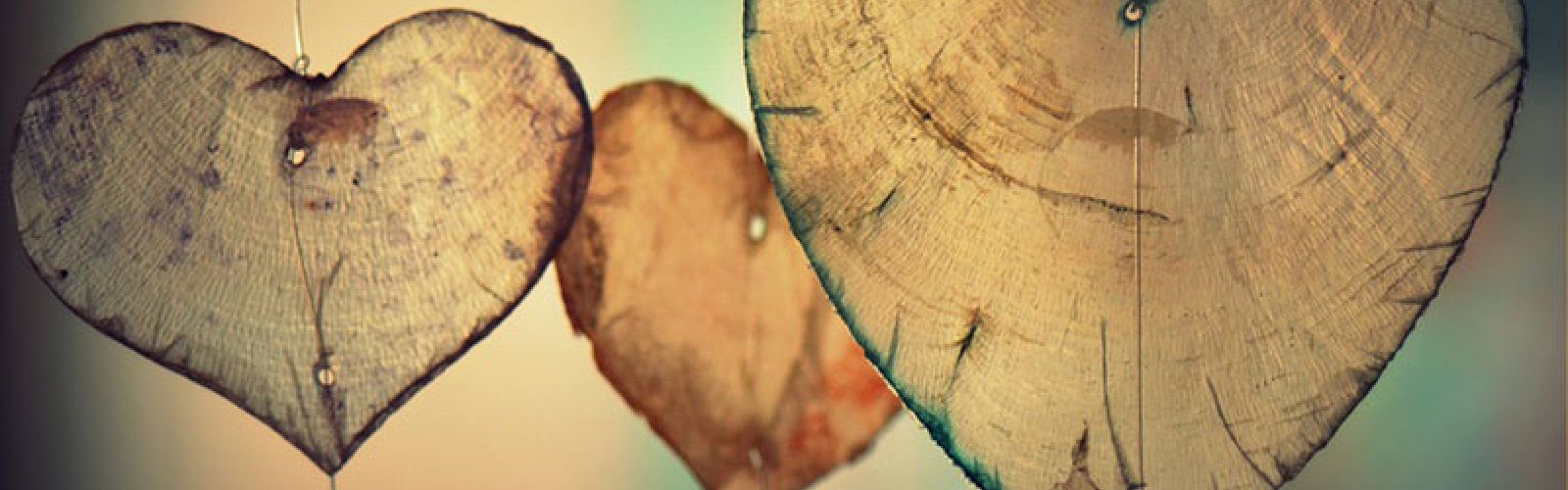 Blumen zum Valentinstag: Vielfältig wie unsere Beziehungen