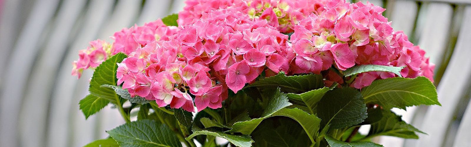 Die Sommer-Saison ist eröffnet!