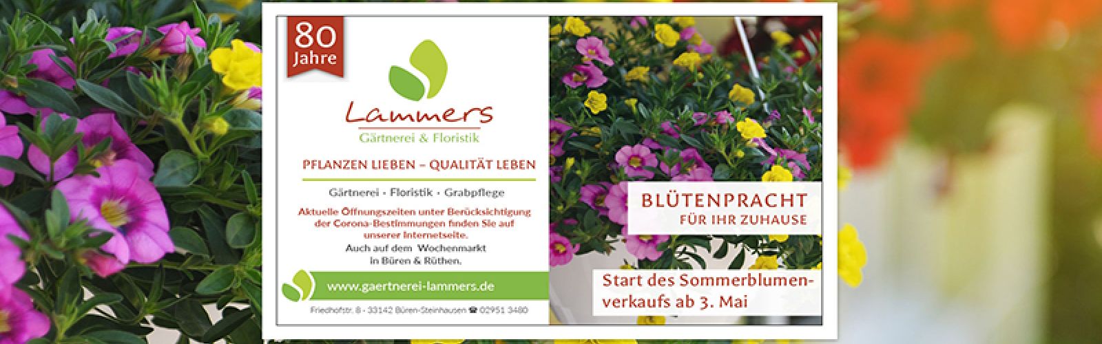 Sommerblumenverkauf im Mai