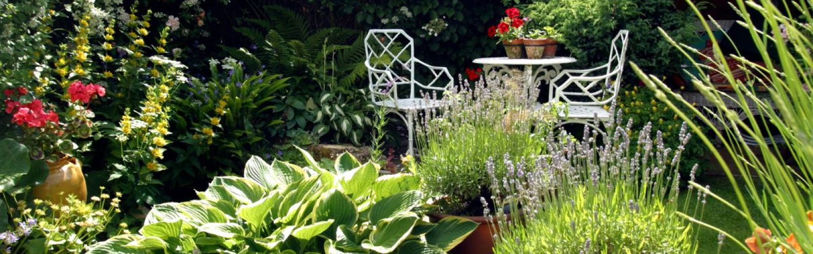 Schöne Gärten trotz heißer Sommer!