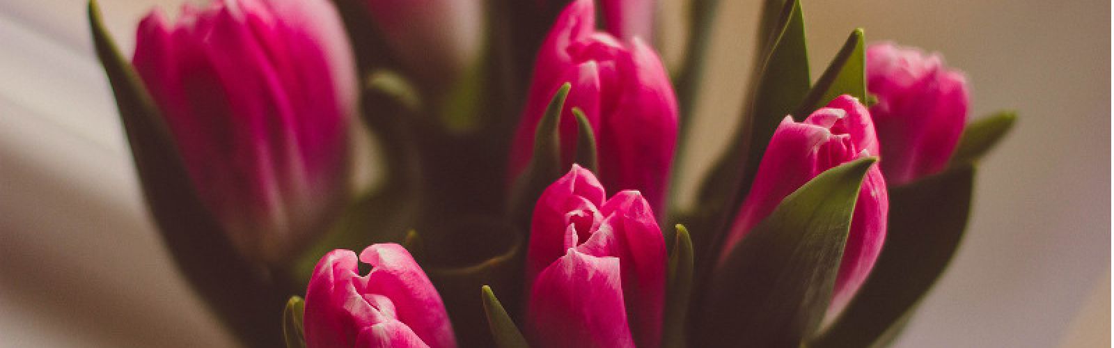 Am 14. Februar ist Valentinstag