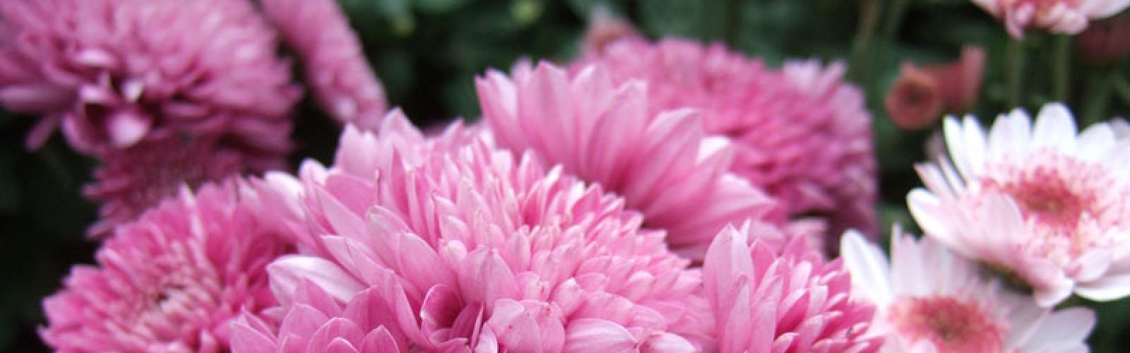 Der Herbst kann kommen