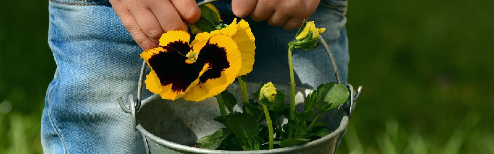 Der Frühling nimmt Fahrt auf ...