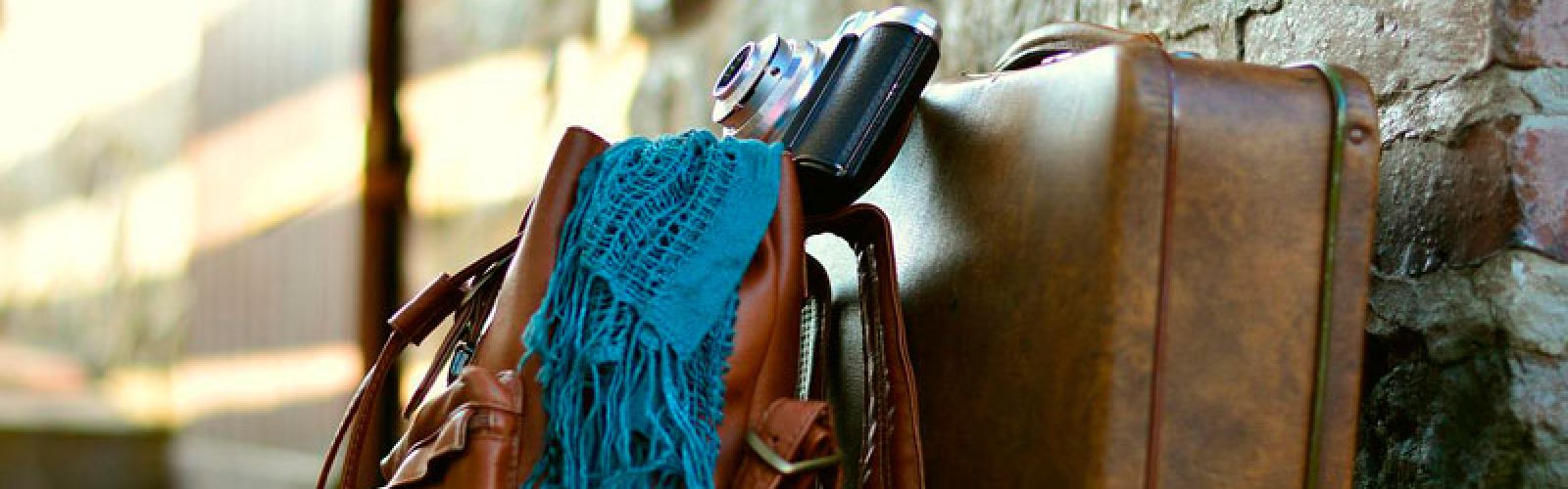 Urlaubszeit - wer kümmert sich um die Pflanzen?