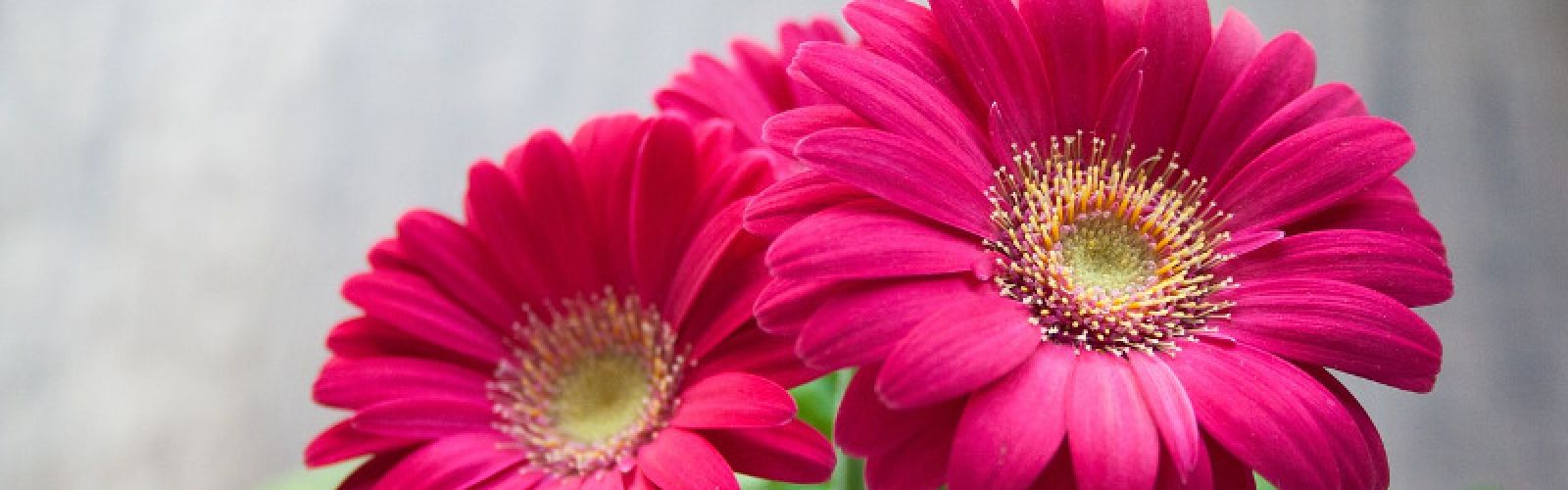 Am 14. Mai ist Muttertag!