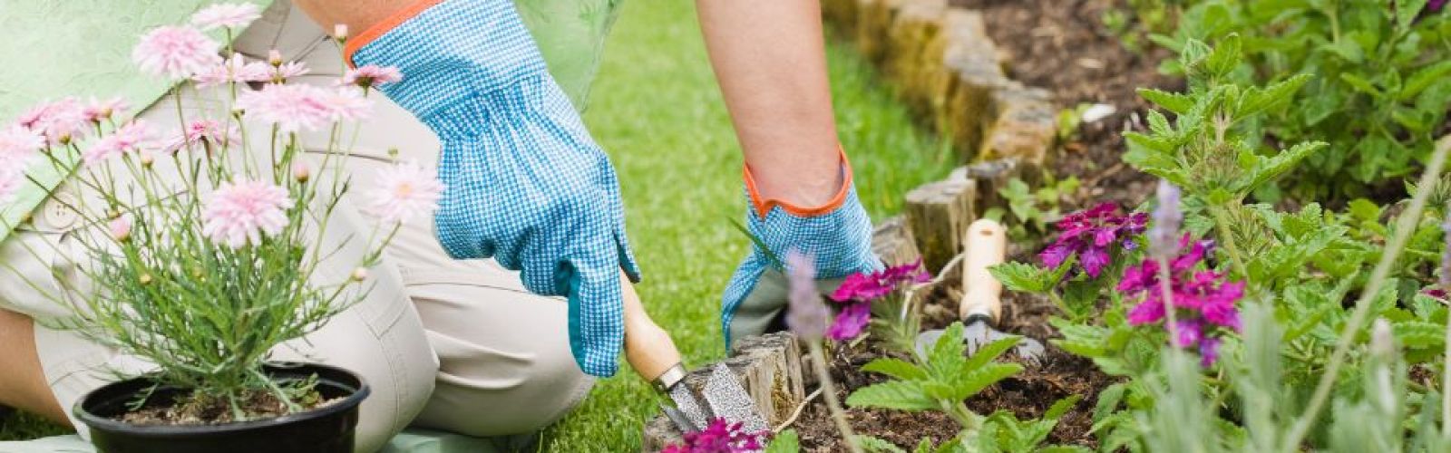 Mai – Der Pflanzmonat