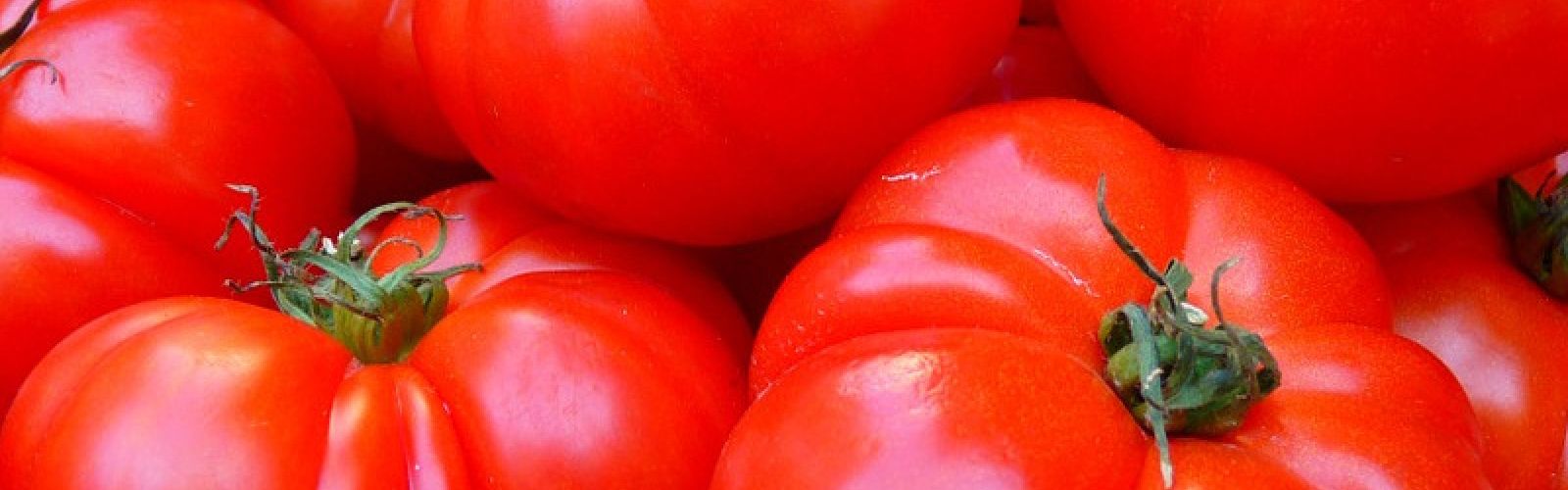 3 Tomaten-Tipps für den August