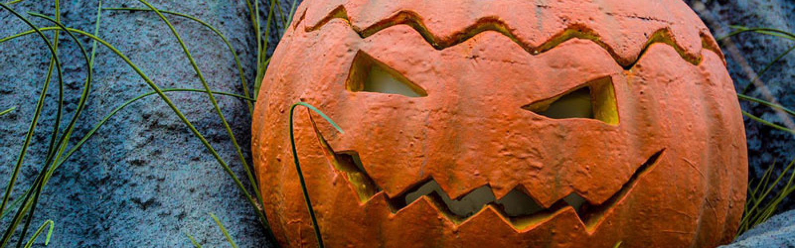 Halloween-Kürbisse: So machen Sie die herbstlichen Kunstwerke haltbar