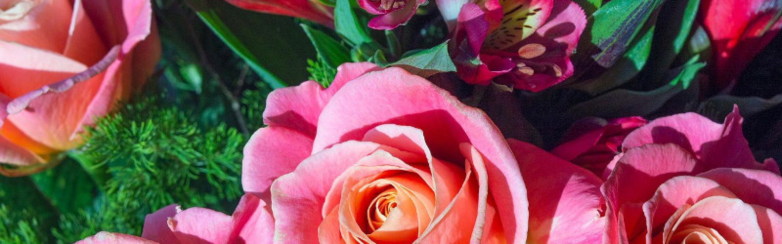 Am 14. Februar ist Valentinstag