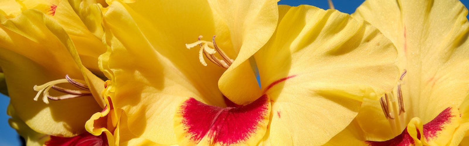 Frühlingserwachen im Bürener Land