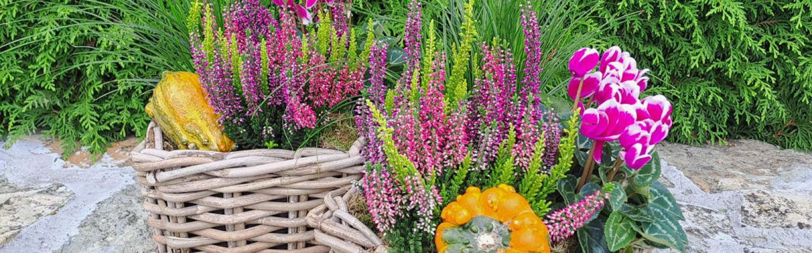 Frische Herbstdeko eingetroffen