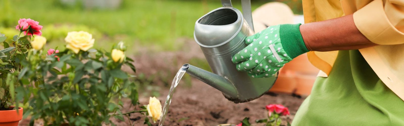 Jetzt wird’s bunt im Garten!