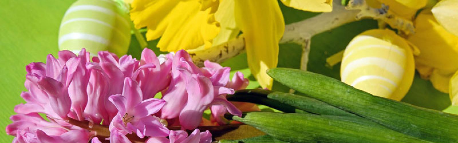 Ein fabelhaftes Trio