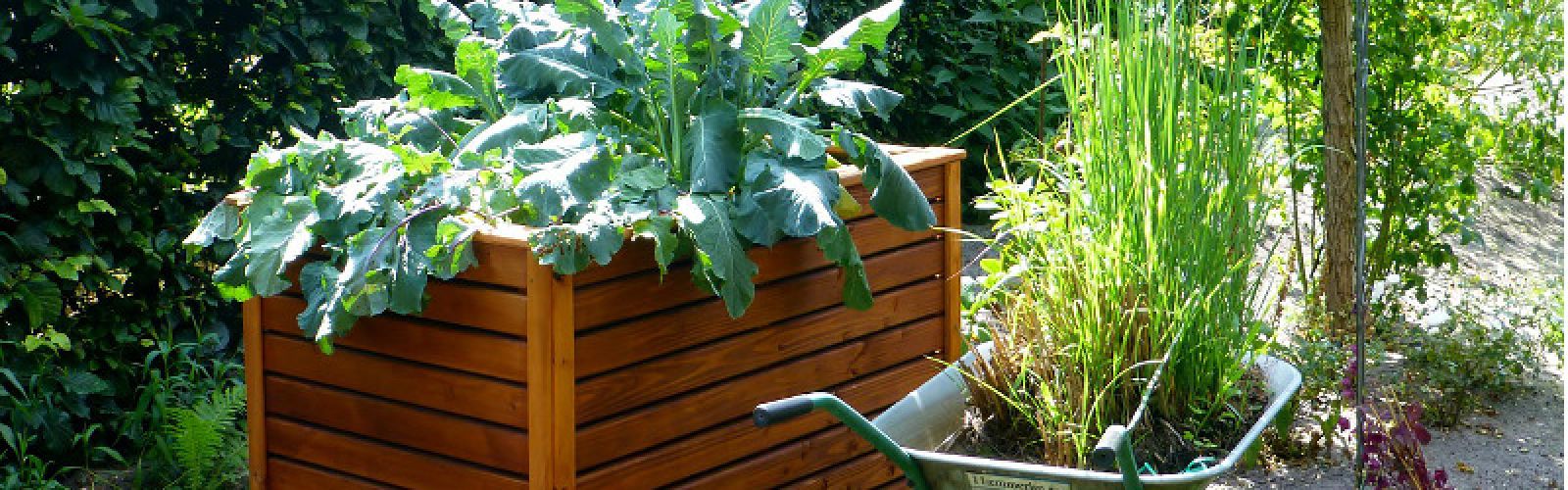 Die Planung kann beginnen: Das Hochbeet