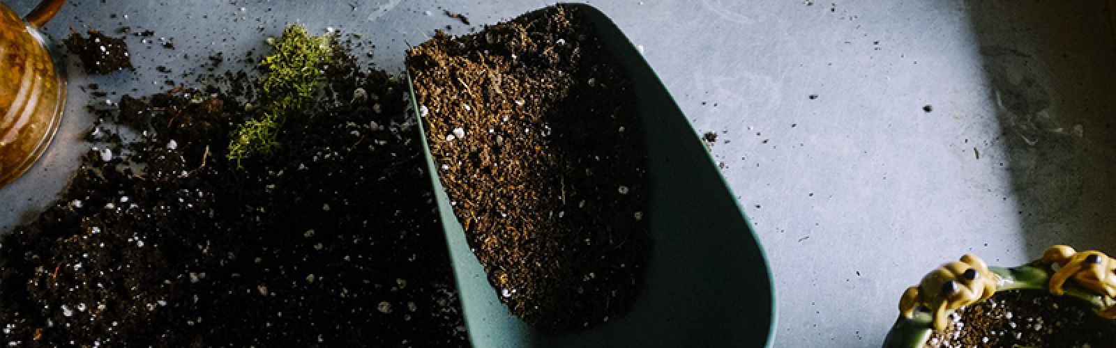 Was mach ich im Juli im Garten?