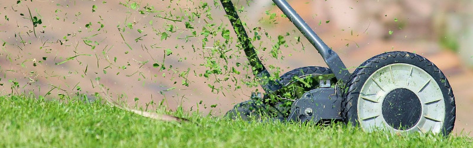 Rasenpflege im September