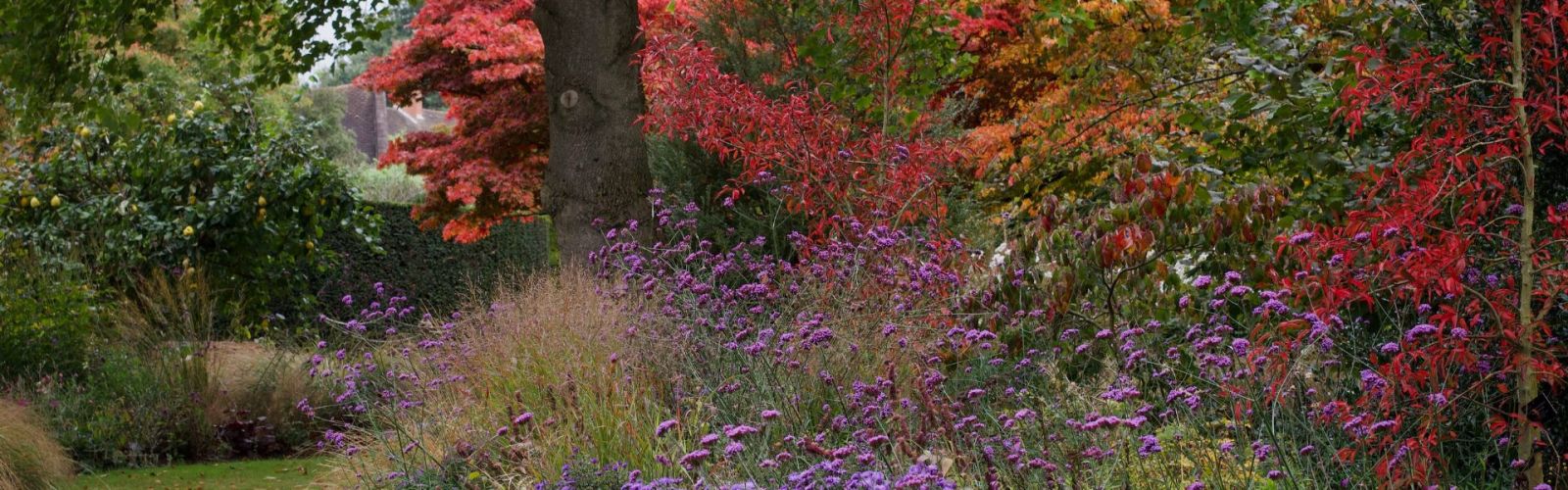Oktober ist Pflanzmonat!