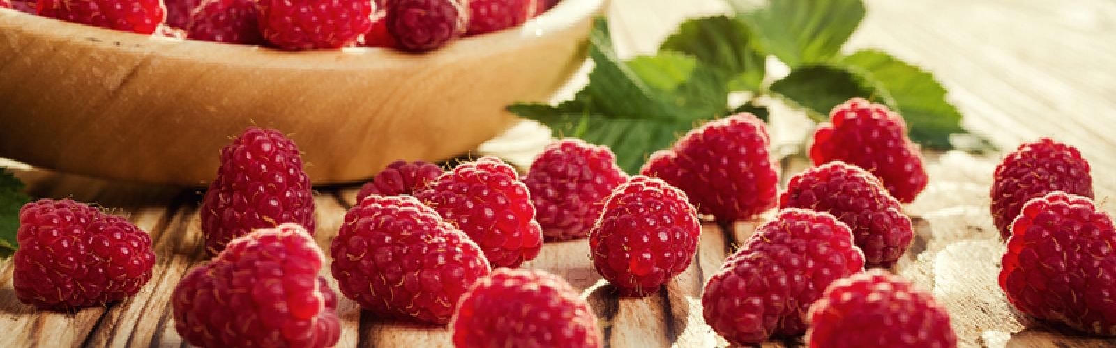 Zeit für Himbeeren!