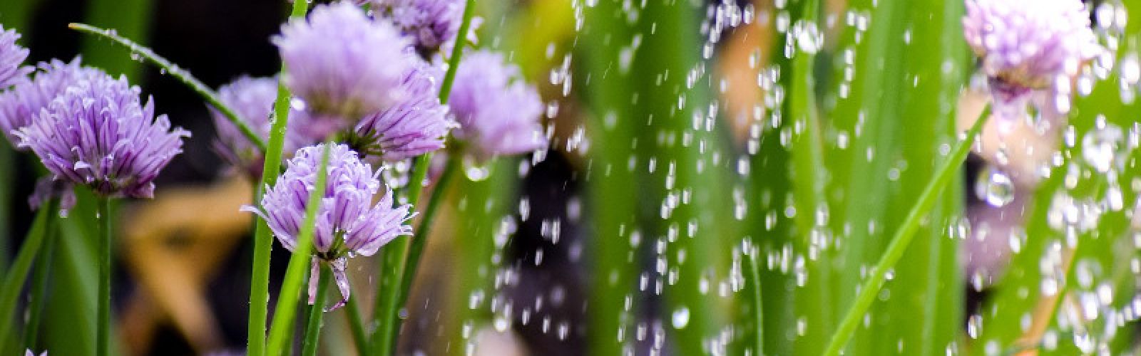 Unsere Sommer-Tipps
