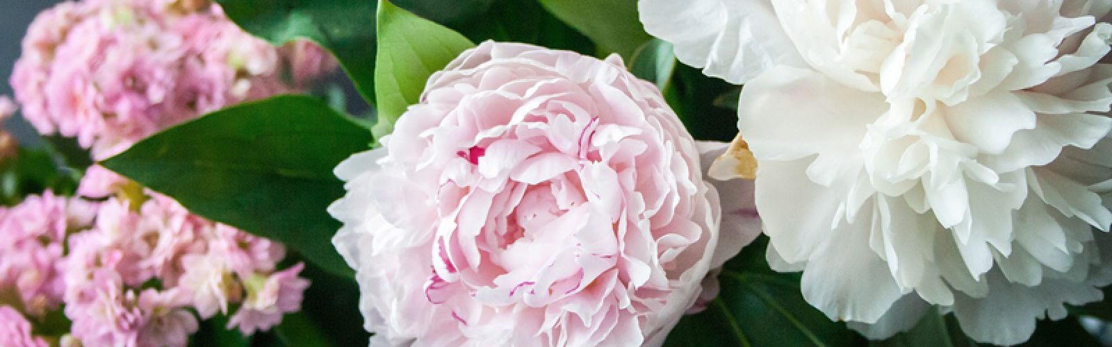 Muttertag steht vor der Tür!